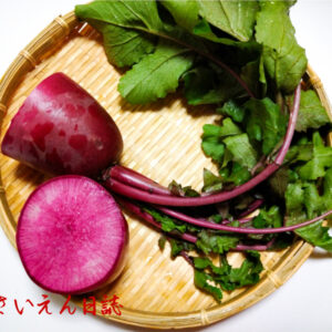 赤大根、紅くるり｜大根物語