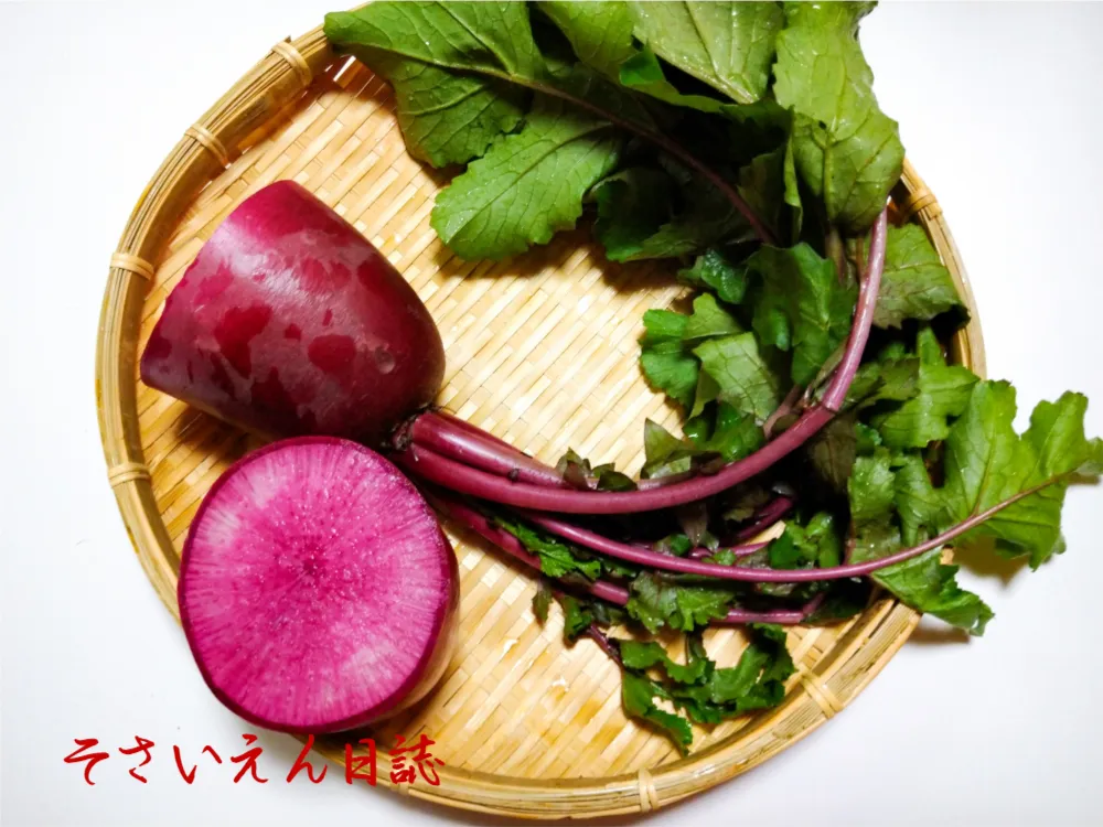 大根物語 食卓の歴史