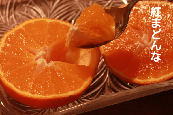 紅まどんな、いただきます