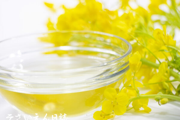 菜の花と菜種の油