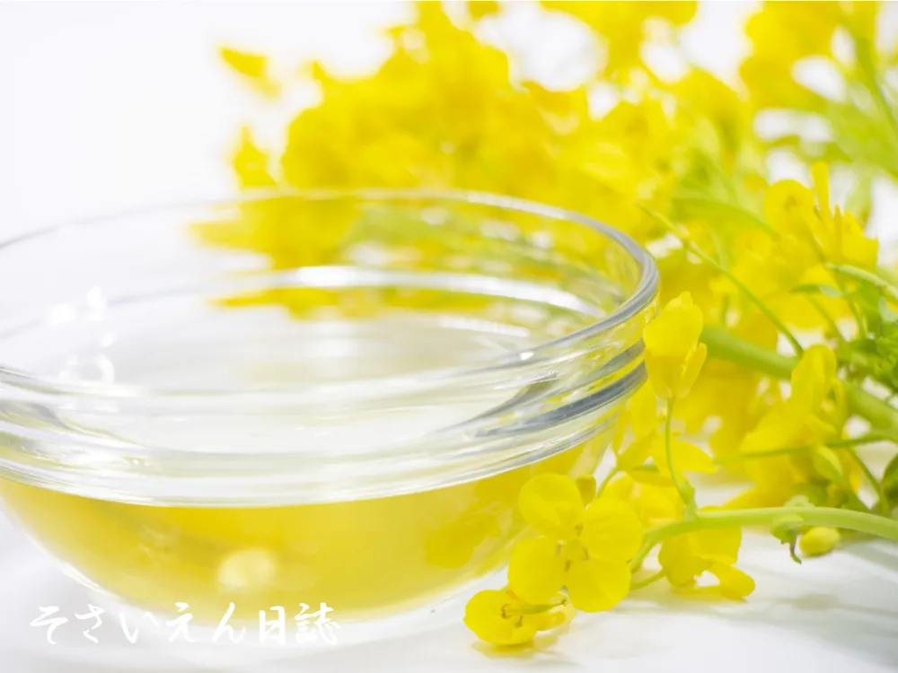 菜種から黄金の一滴へ