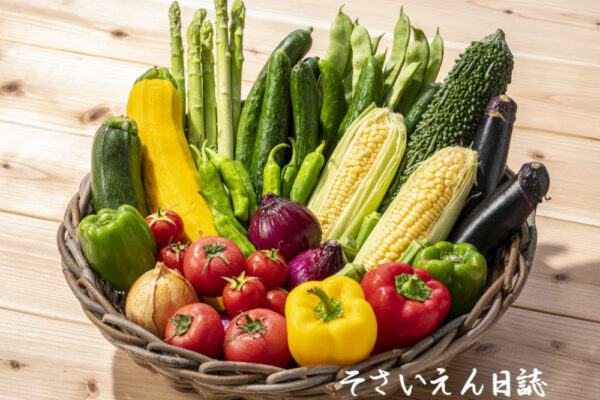 夏野菜の籠盛り