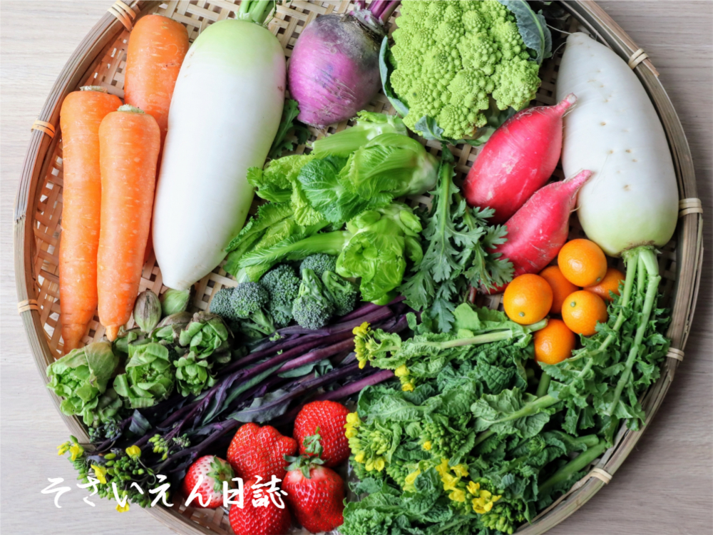 春野菜力｜色でわかる栄養学