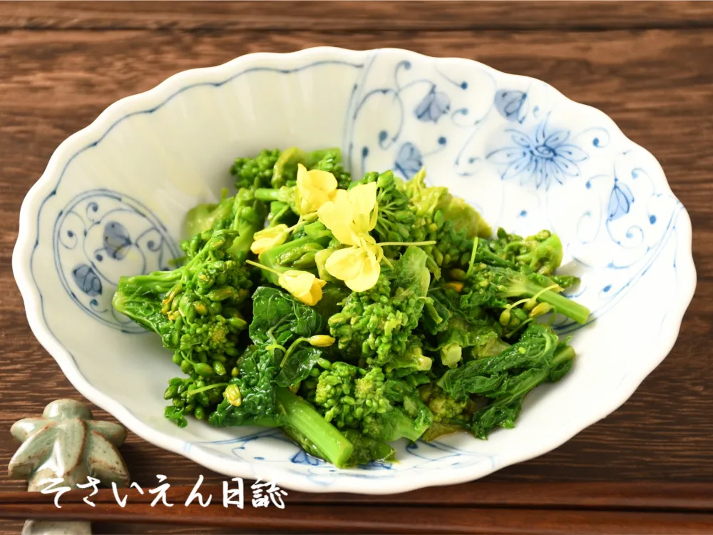 春野菜力 色でわかる栄養学