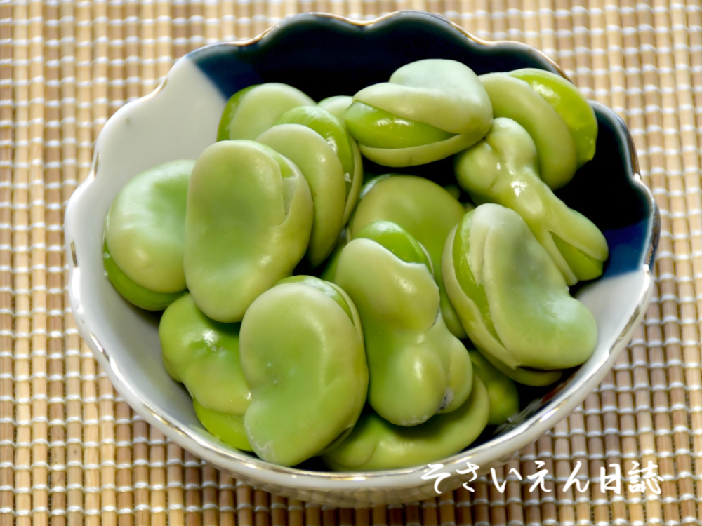 色で味わう春 そら豆