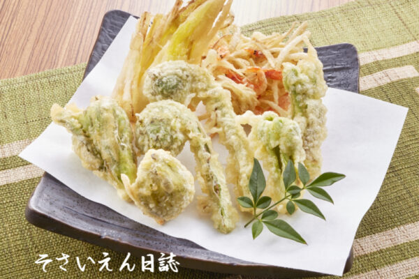 春の山菜 天ぷら盛り合わせ