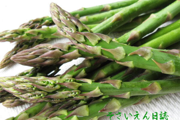 春野菜の味、アスパラガス