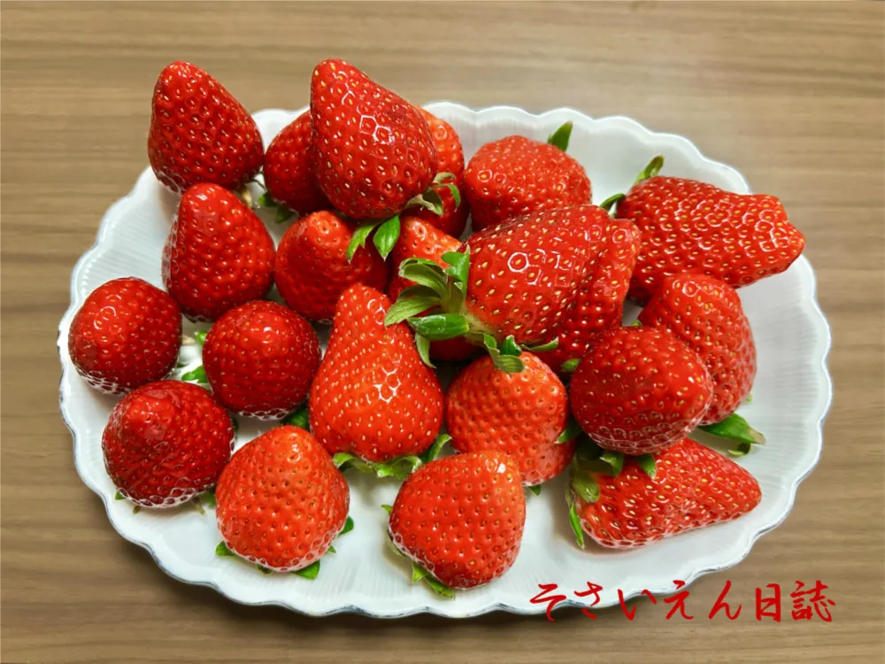 春の果実甘み深まる清明