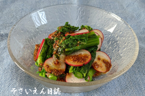 春野菜の彩りサラダ（菜の花とラディッシュ）