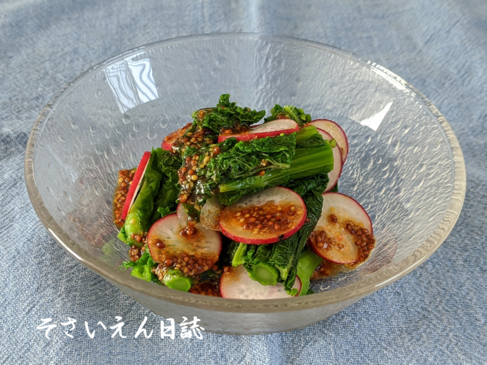 春野菜の彩りサラダ（菜の花とラディッシュ）