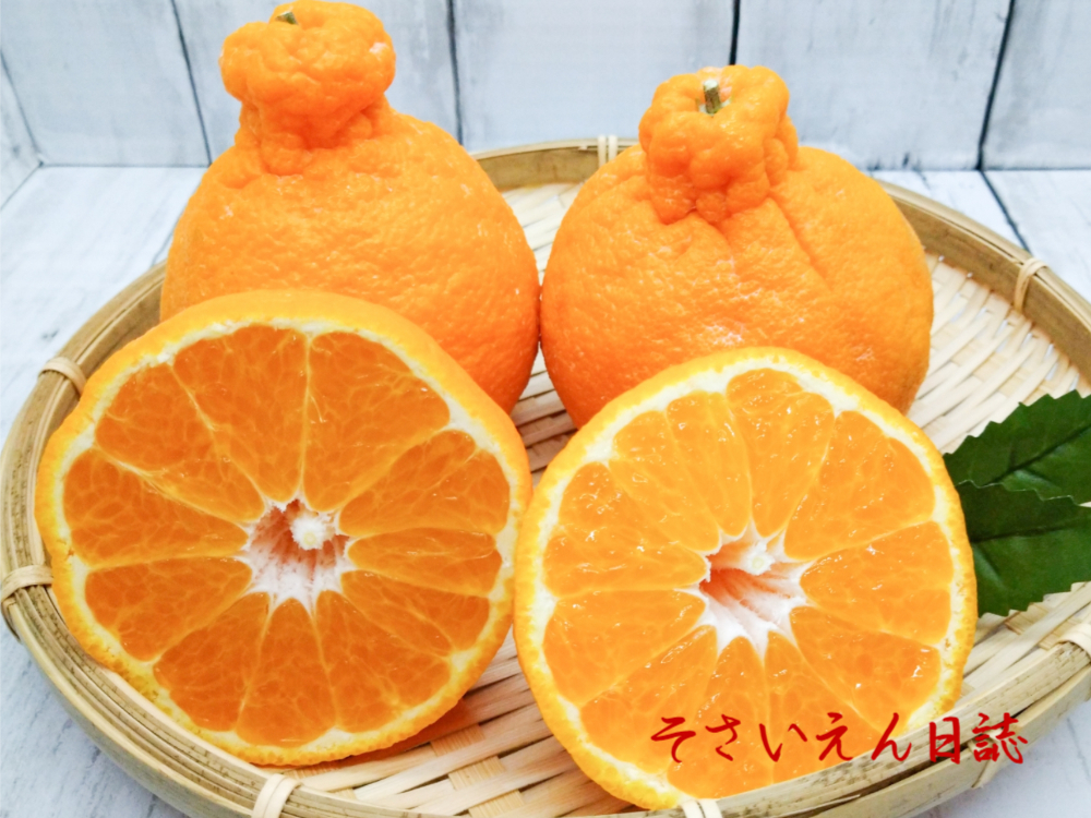 春の果実、デコポン