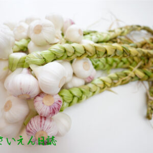 ガーリックブレイド｜保存野菜