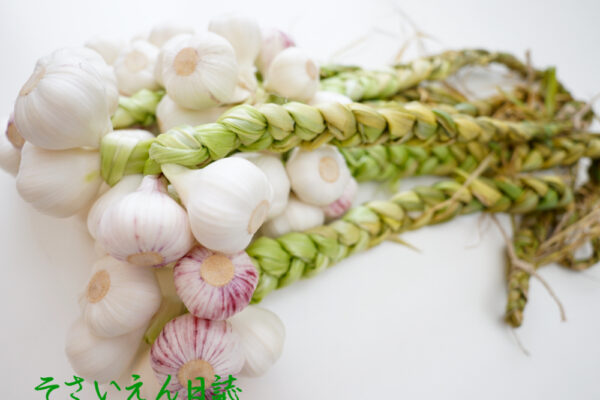 ガーリックブレイド｜保存野菜