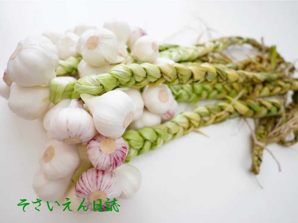 保存野菜 冬から春の手入れ