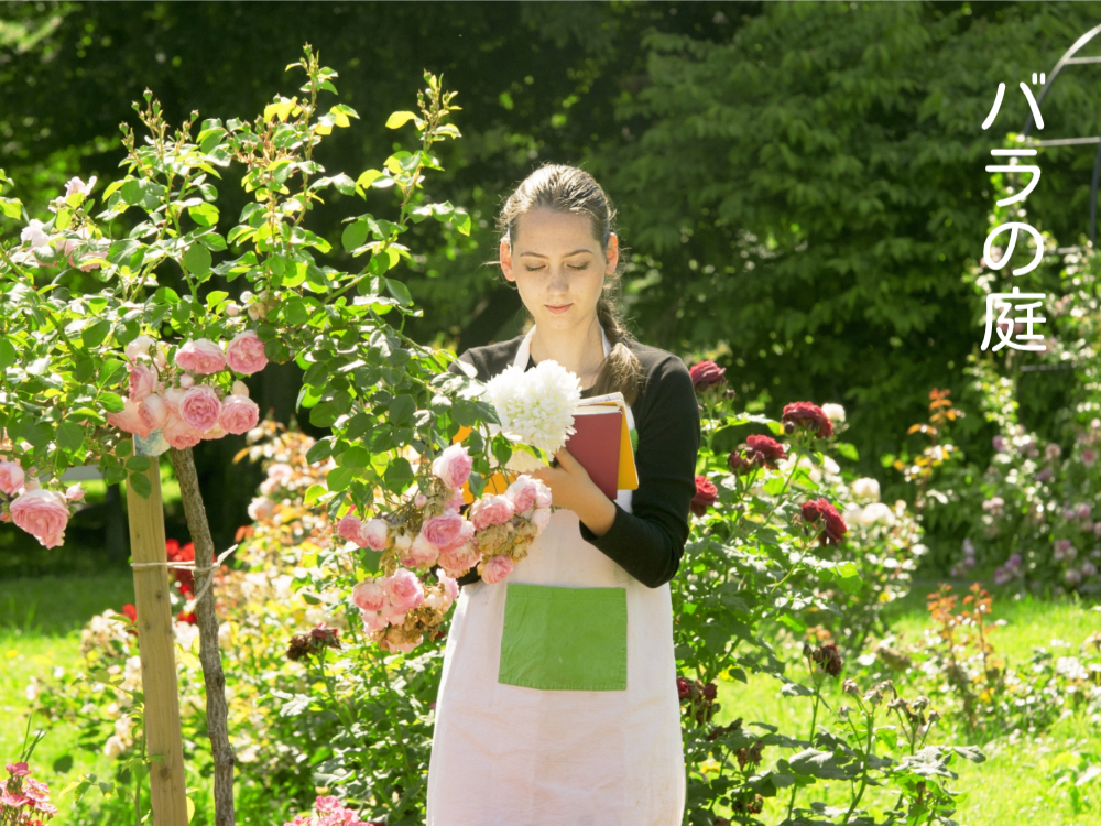 庭日誌、春の活用術