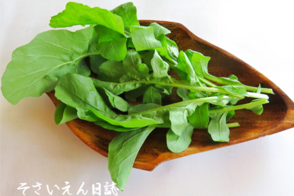 葉物やさしケア 新鮮なルッコラ