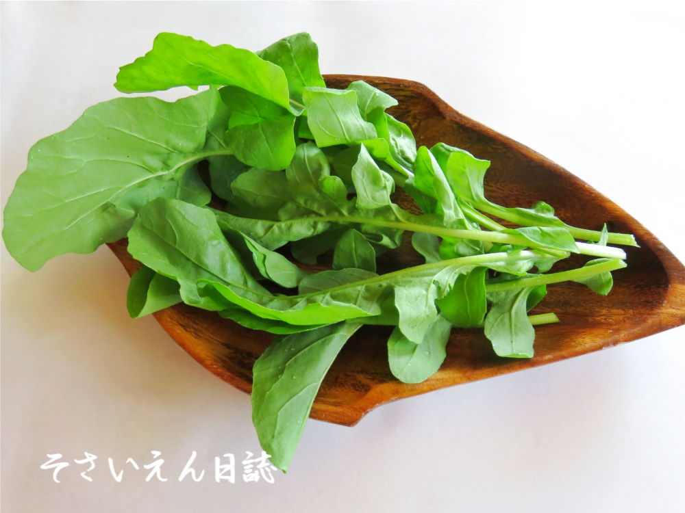 葉物やさしケア 新鮮なルッコラ