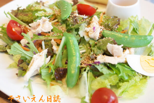 葉物サラダ プレート