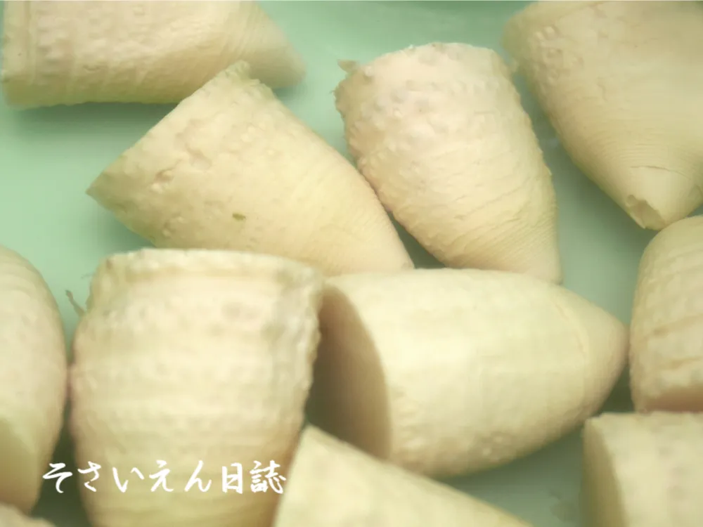 市場で売られているタケノコの水煮