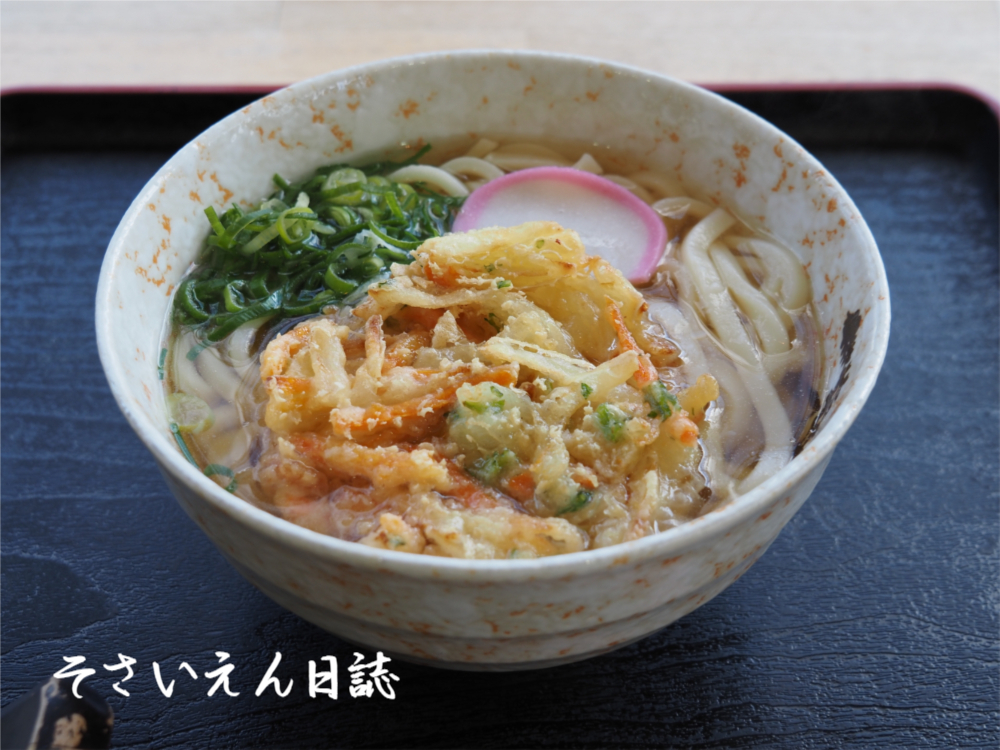 春かき揚げうどん