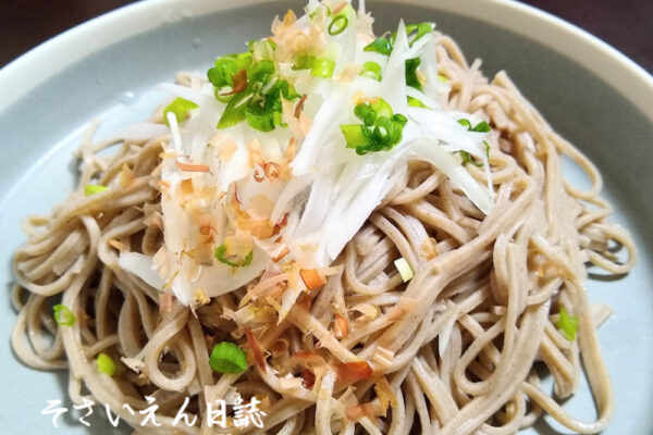 新玉ねぎ蕎麦