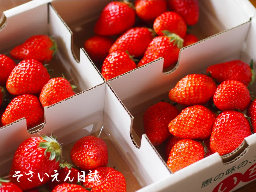 野菜の価格 スーパーマーケットの苺