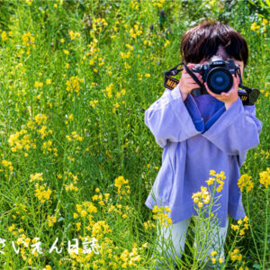 穀雨そだち記録 菜の花畑