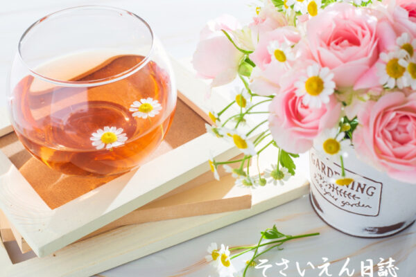 春ハーブ ハーブティ