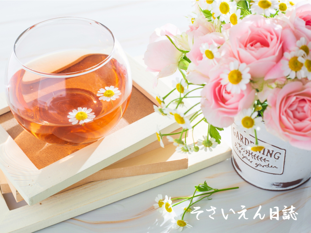 春ハーブ|穀雨の育て方