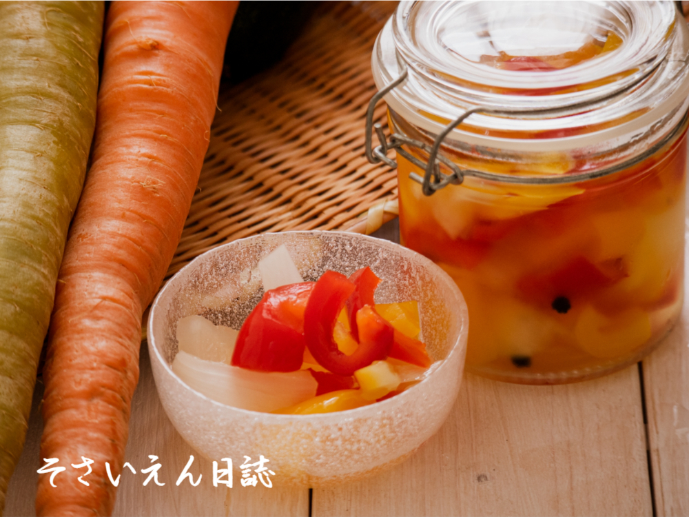 人参と酢漬け野菜