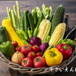 籠に盛った夏野菜