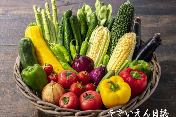 籠に盛った夏野菜