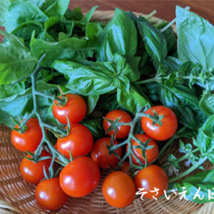 穀雨菜園ベランダ入門