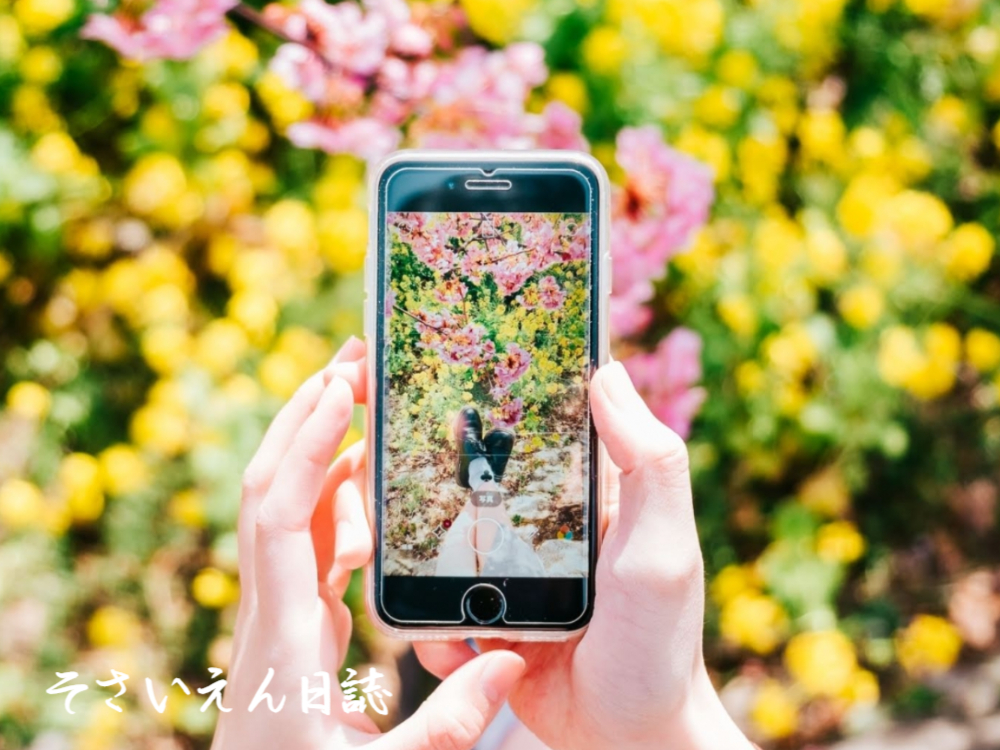 スマホで撮影する