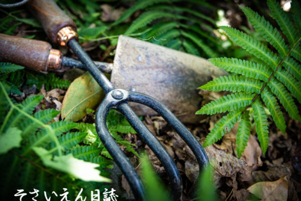 穀雨道具選び スコップと鋤鍬