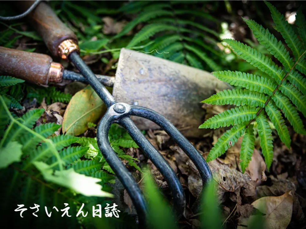 穀雨道具選び 庭仕事の手元