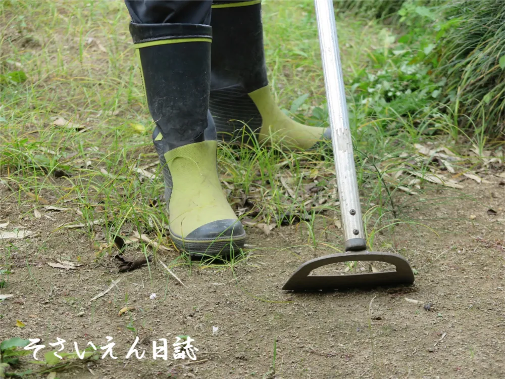 立鎌での草取り作業