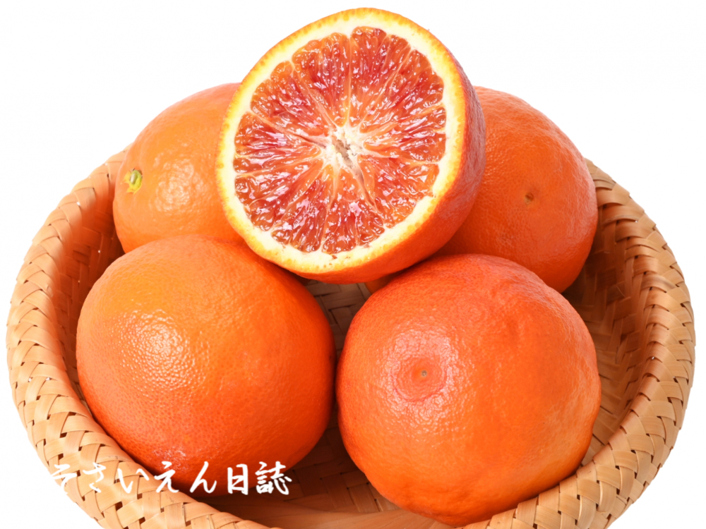 血橙シチリア ブラッドオレンジ