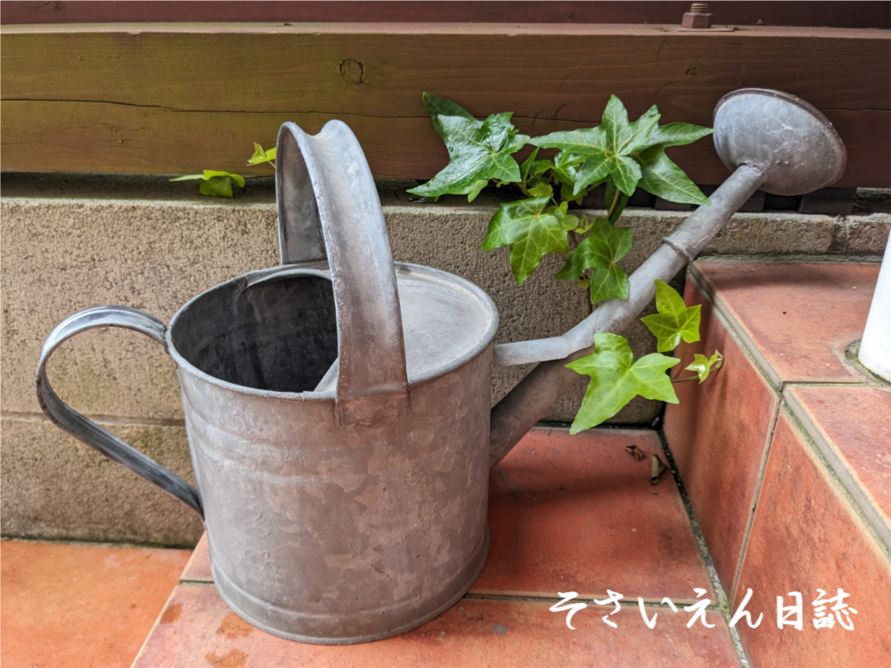 水やりリズム 如雨露