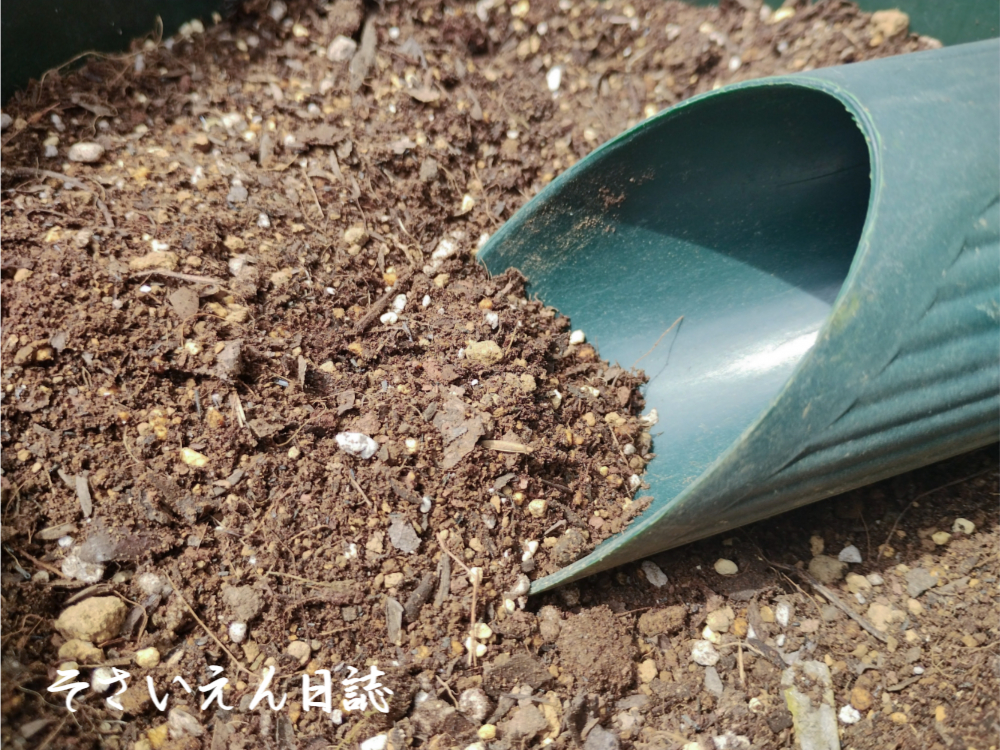 培養土選び、土入れ