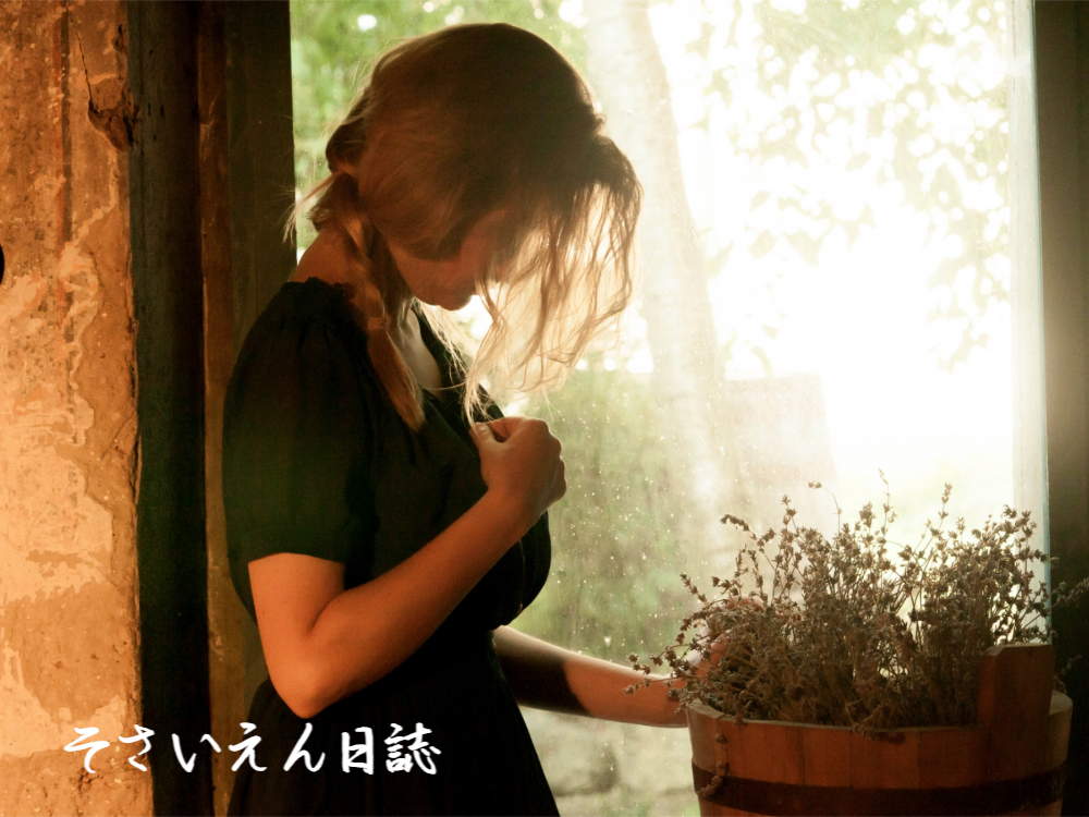 鉢植えの乾きを観る