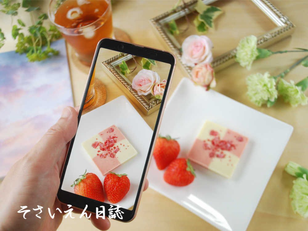 園芸記録 スマホ撮影