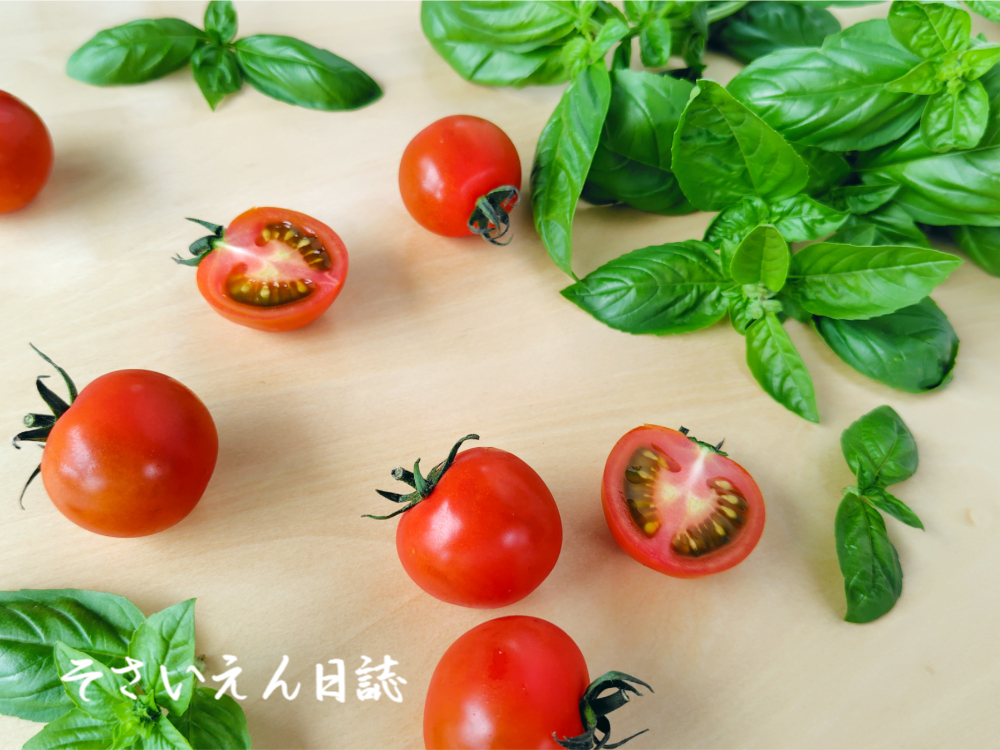 ベランダ野菜、ミニトマトとバジル