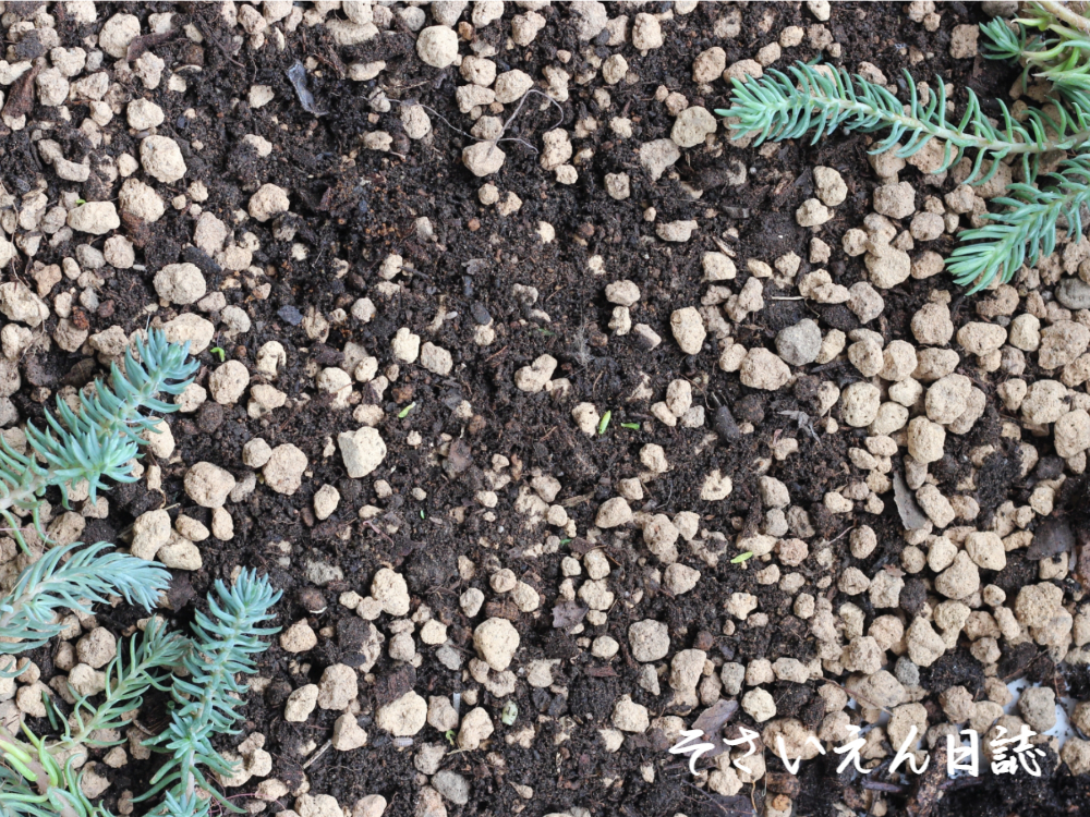 培養土選び、赤玉土と腐葉土