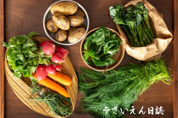 ハーブとじゃがいも