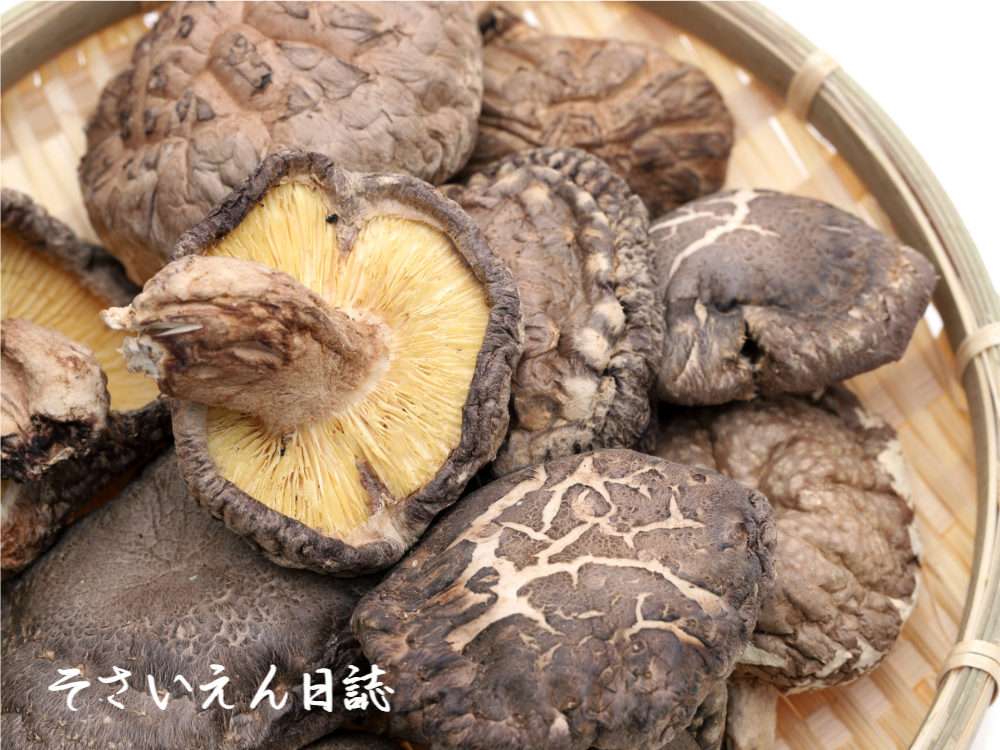 保存と加工 干し椎茸