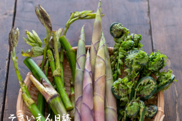 ウド、たけのこ、こごみ