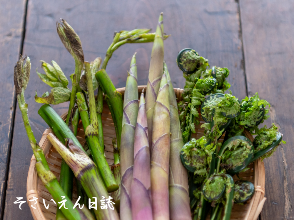 ウド、たけのこ、こごみ