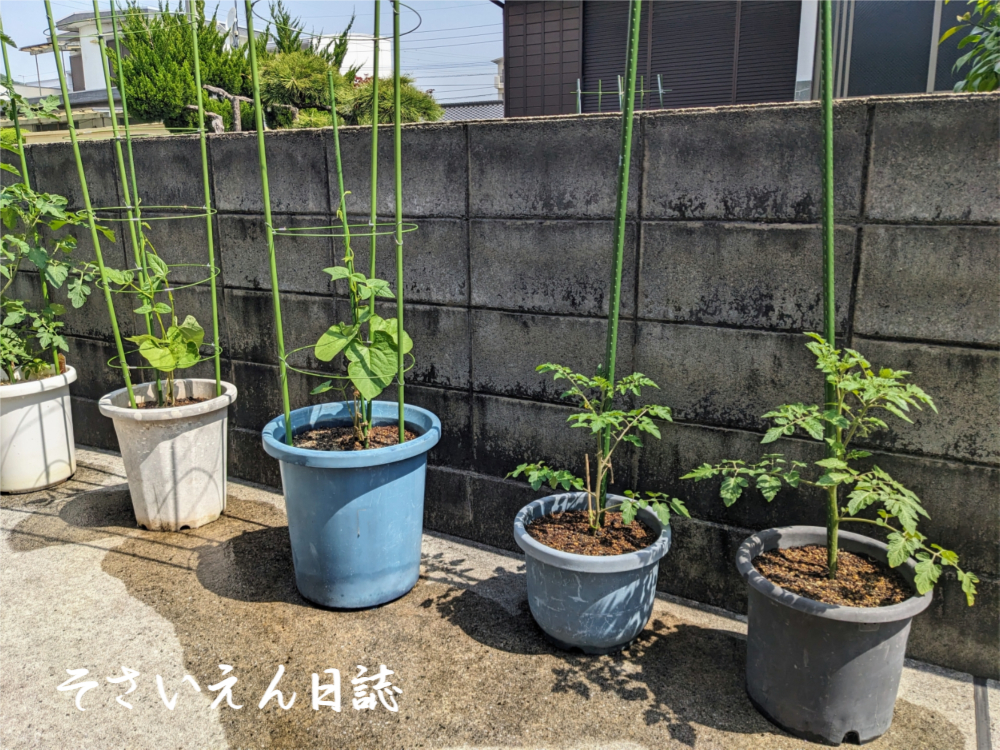 プランター栽培の支柱