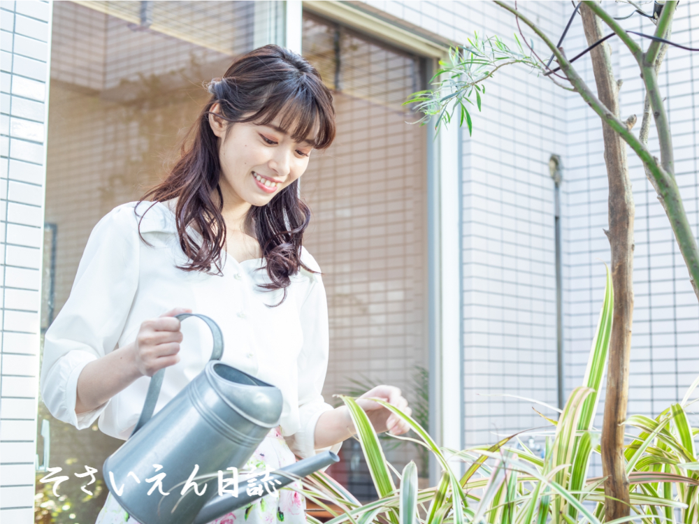 植物に水をやる